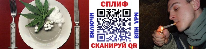 купить   Шахты  Canna-Cookies конопля 
