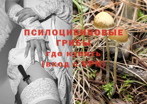 скорость Бронницы