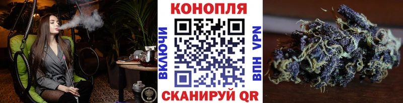 где можно купить   Шахты  Каннабис MAZAR 